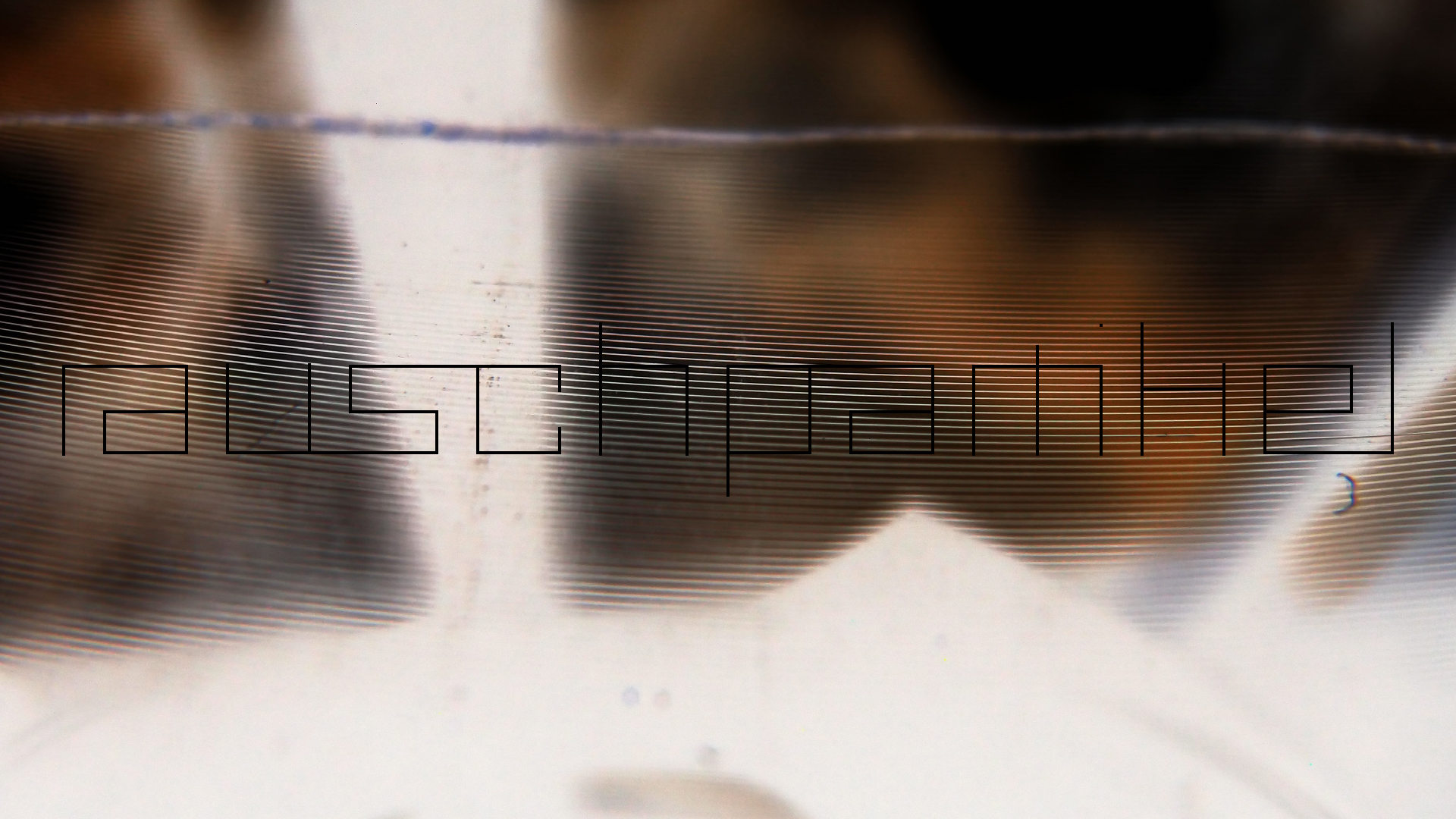 2023-02-05 wendelrekords III Pure Vinyl, geritzt (Audio, Foto, Video)