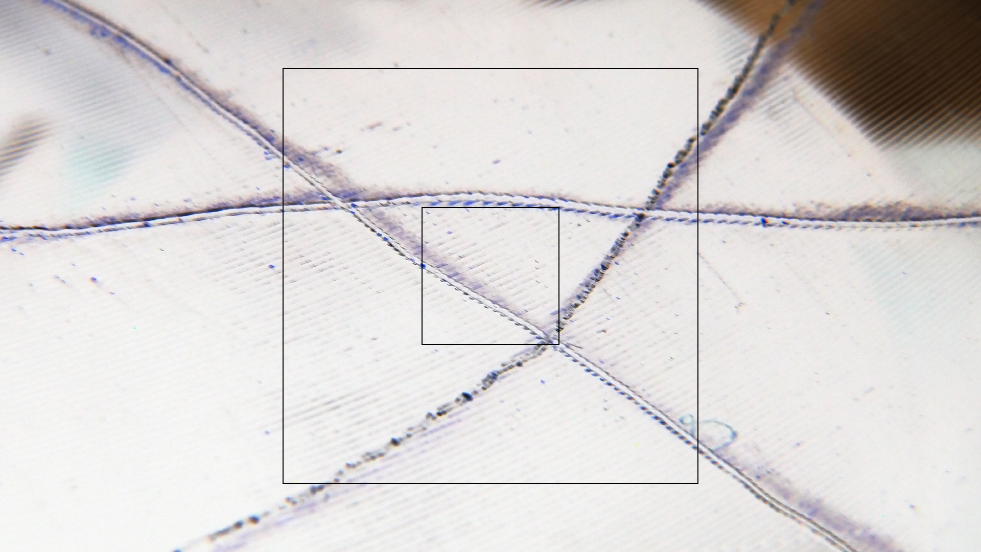 2023-02-05 wendelrekords III Pure Vinyl, geritzt (Audio, Foto, Video)