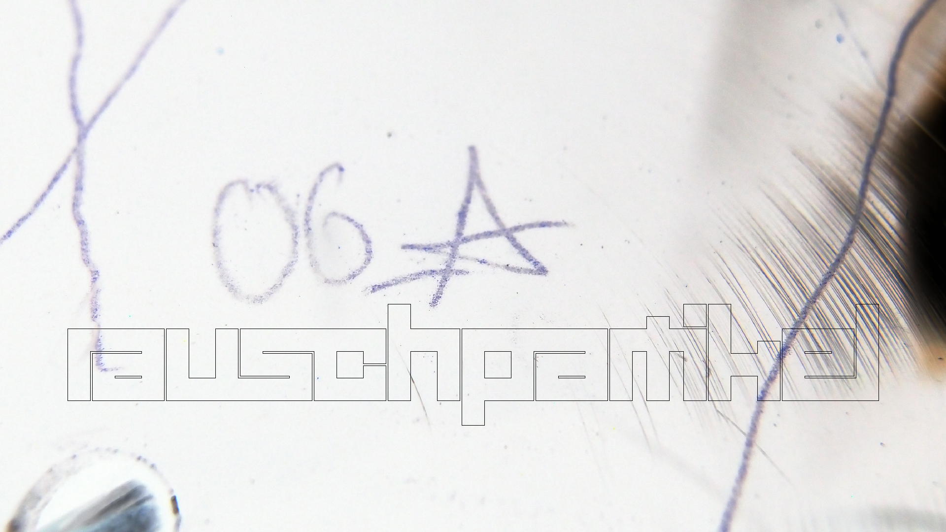 2023-02-05 wendelrekords III Pure Vinyl, geritzt (Audio, Foto, Video)