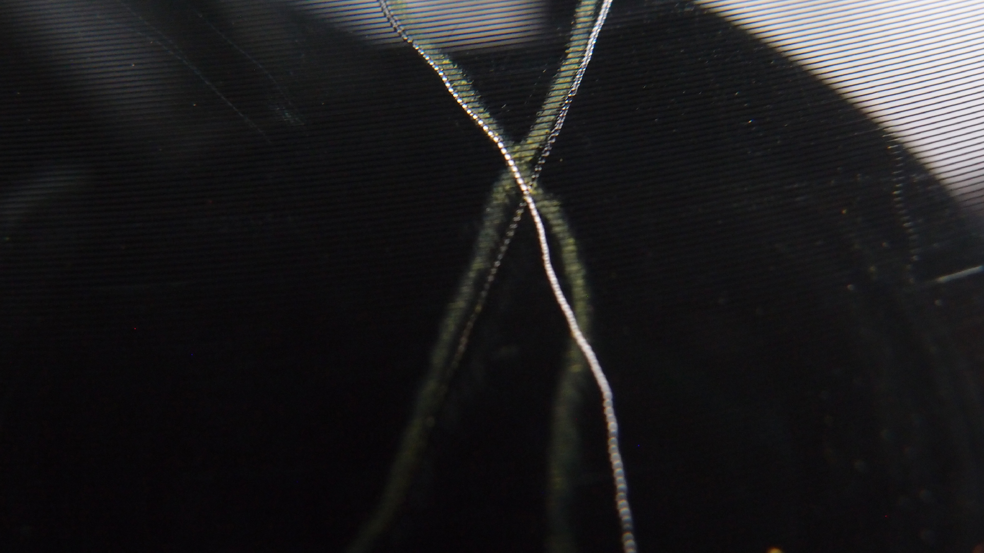 2023-02-05 wendelrekords III Pure Vinyl, geritzt (Audio, Foto, Video)