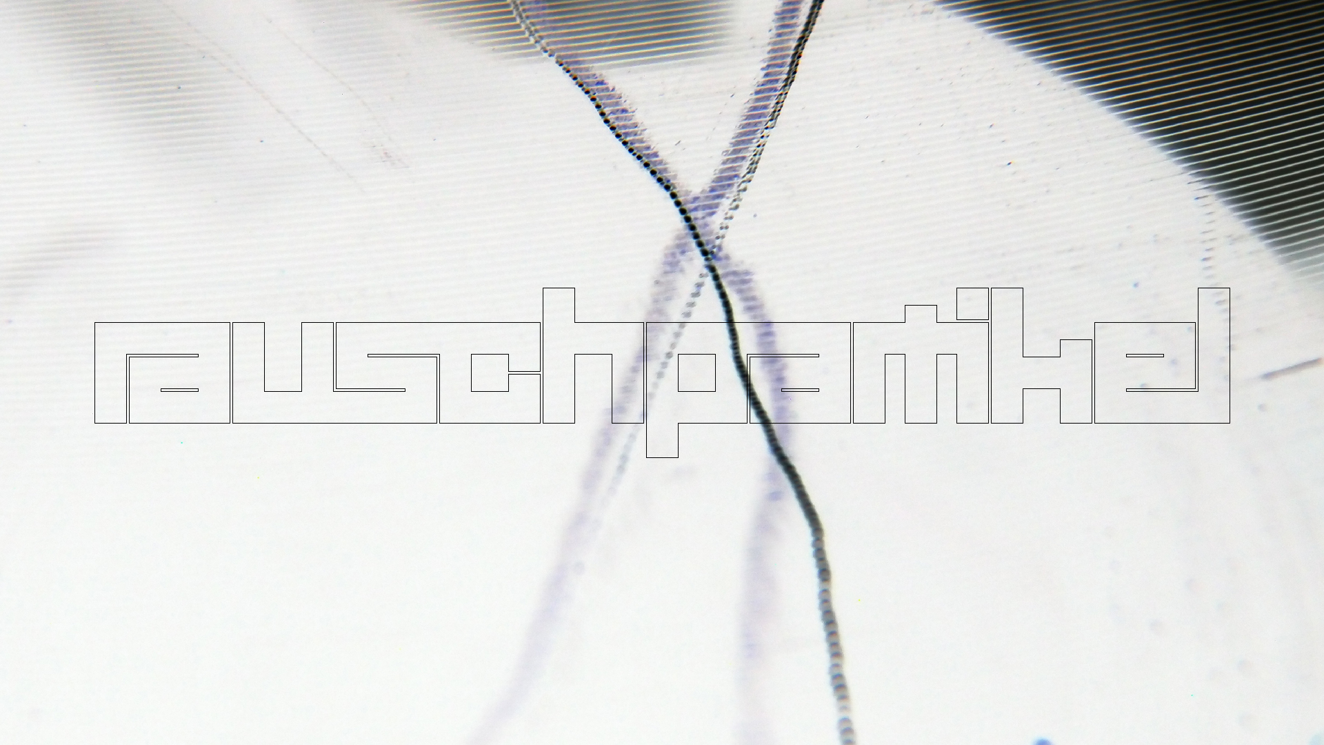 2023-02-05 wendelrekords III Pure Vinyl, geritzt (Audio, Foto, Video)