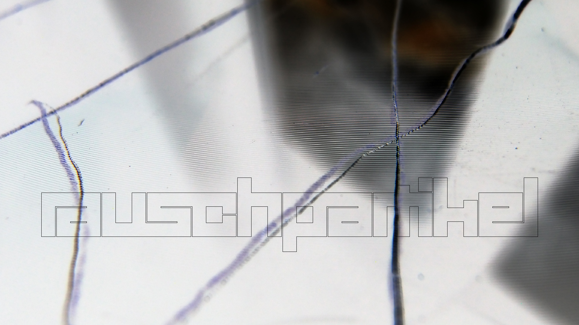 2023-02-05 wendelrekords III Pure Vinyl, geritzt (Audio, Foto, Video)