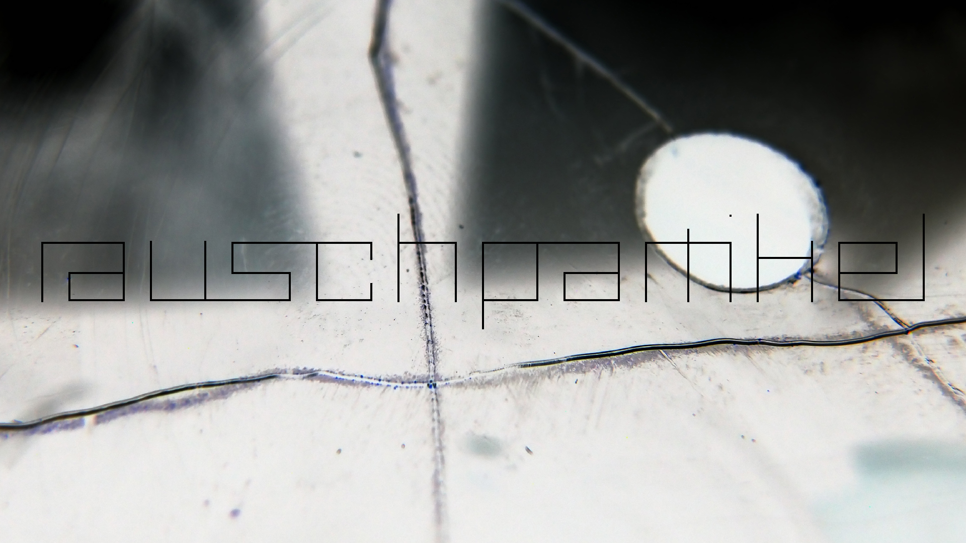 2023-02-05 wendelrekords III Pure Vinyl, geritzt (Audio, Foto, Video)