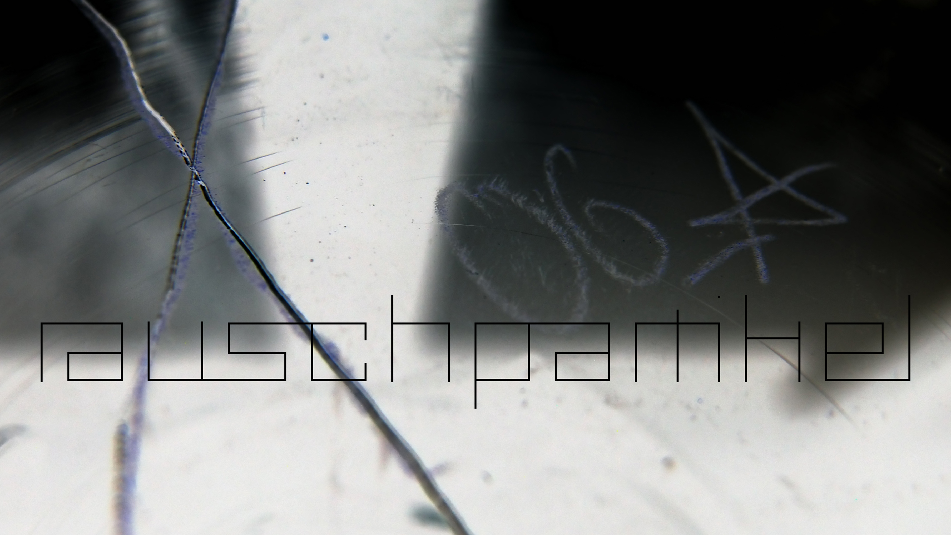 2023-02-05 wendelrekords III Pure Vinyl, geritzt (Audio, Foto, Video)