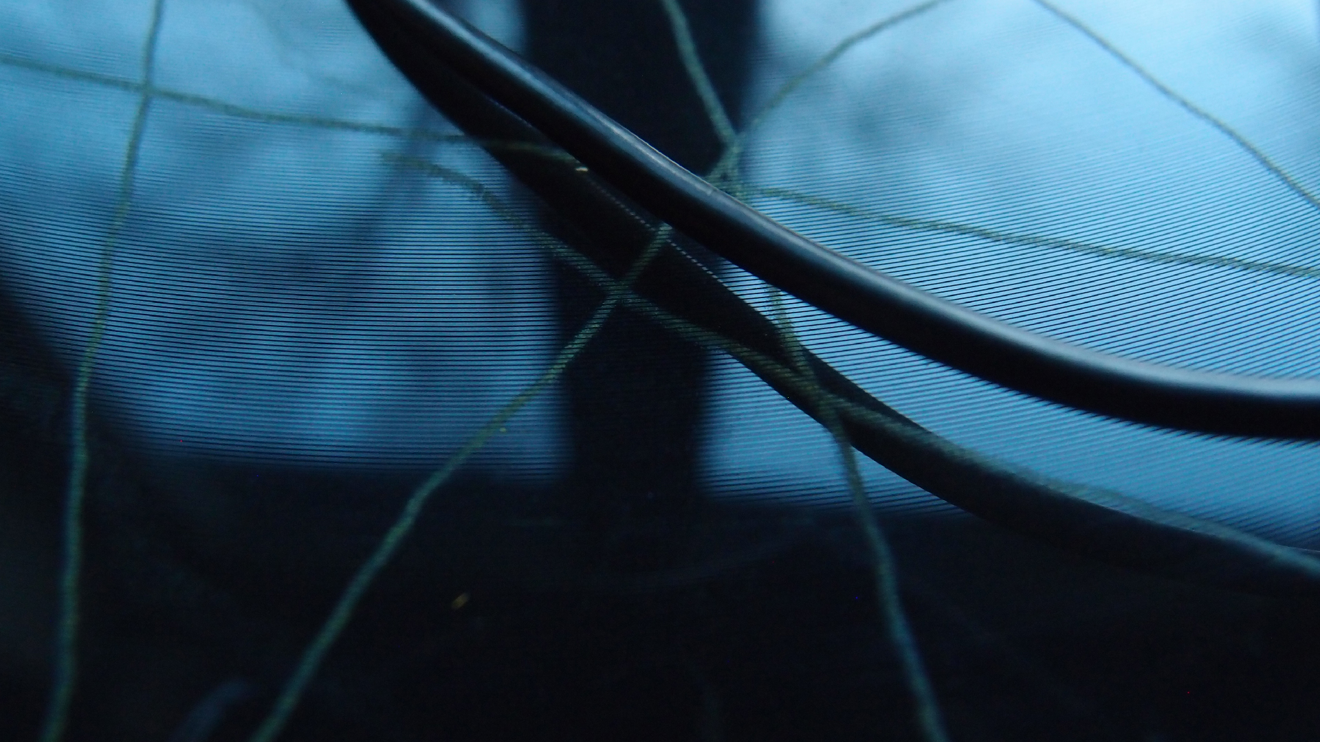 2023-02-05 wendelrekords III Pure Vinyl, geritzt (Audio, Foto, Video)