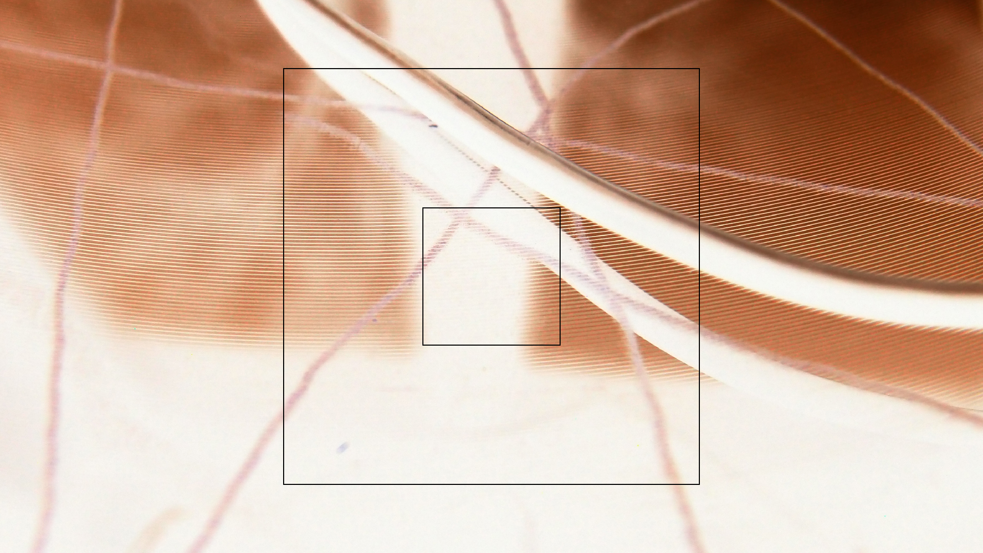 2023-02-05 wendelrekords III Pure Vinyl, geritzt (Audio, Foto, Video)