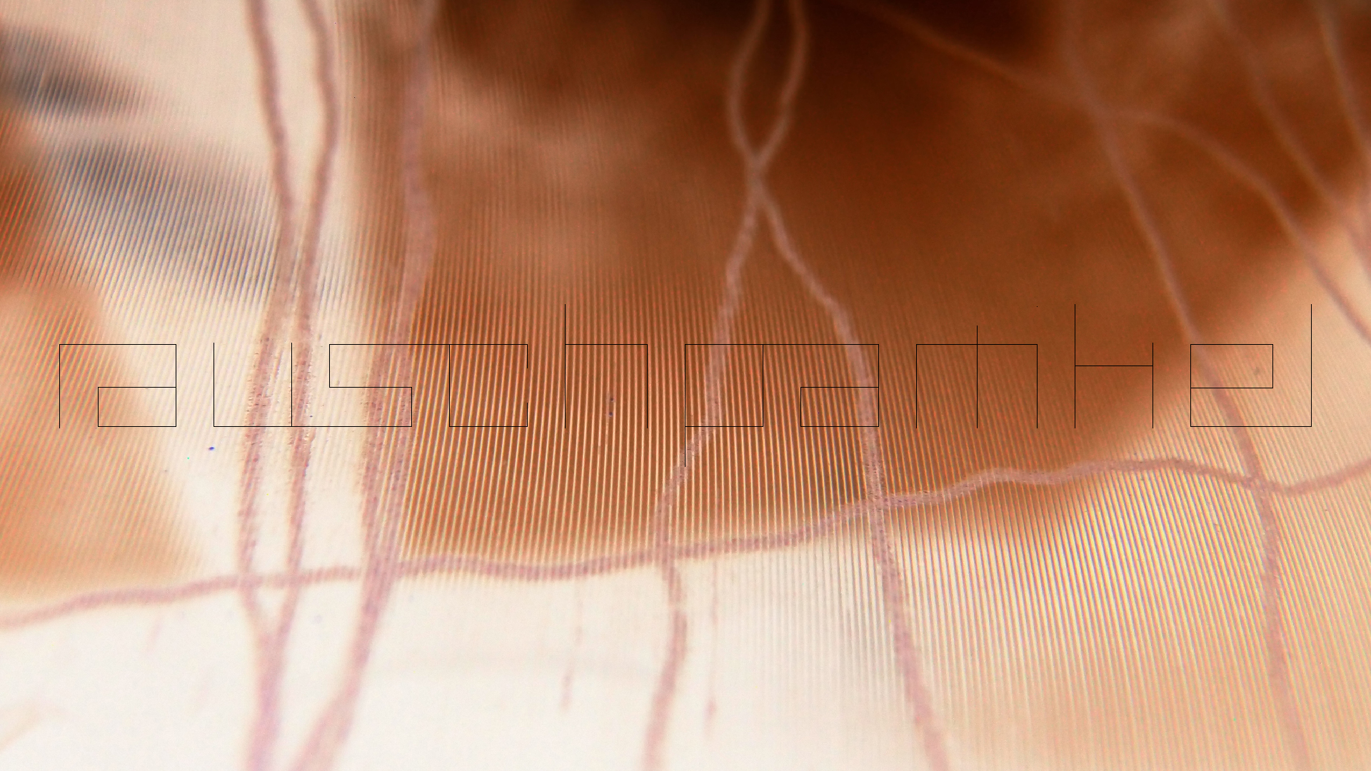 2023-02-05 wendelrekords III Pure Vinyl, geritzt (Audio, Foto, Video)