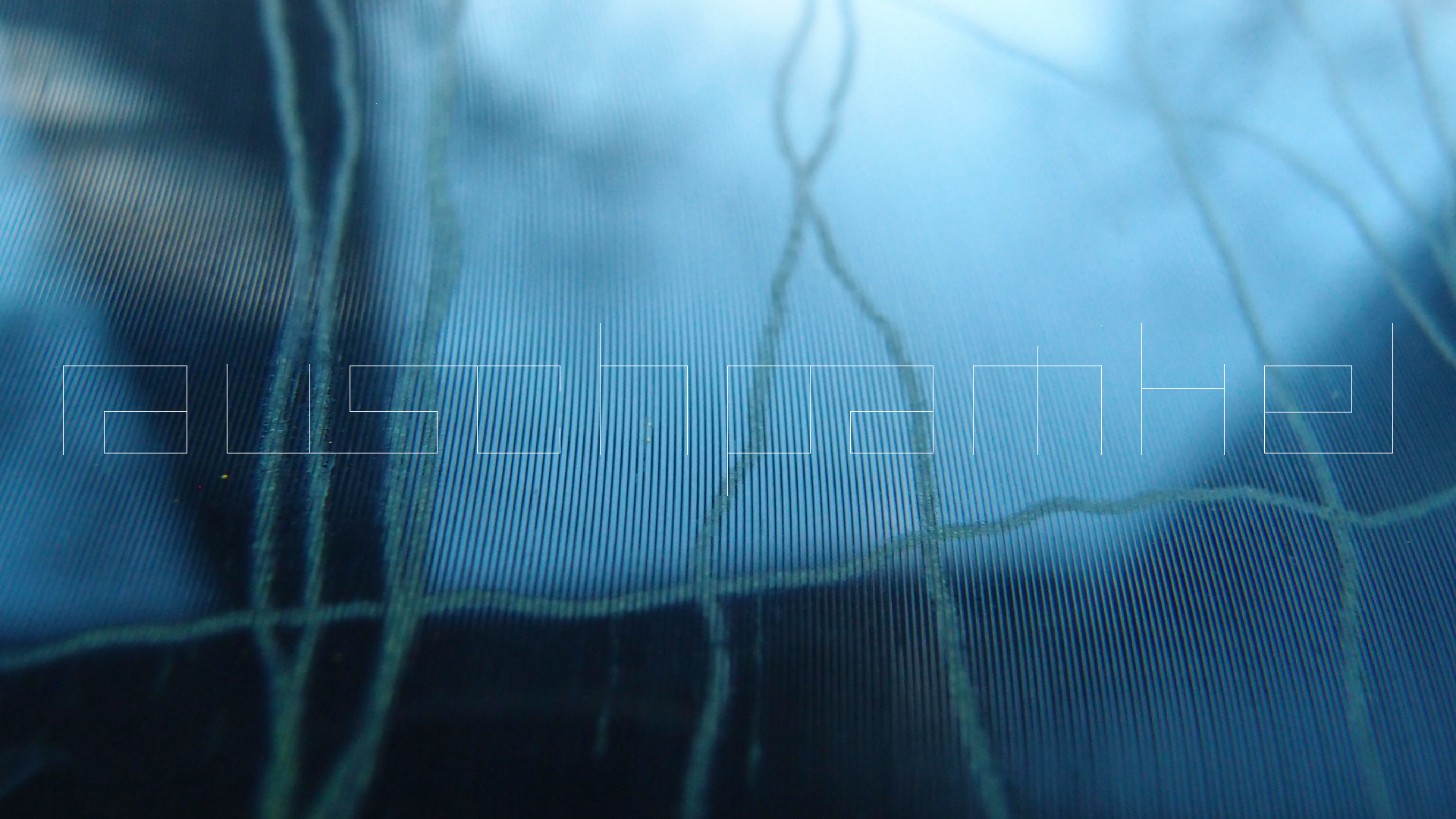 2023-02-05 wendelrekords III Pure Vinyl, geritzt (Audio, Foto, Video)