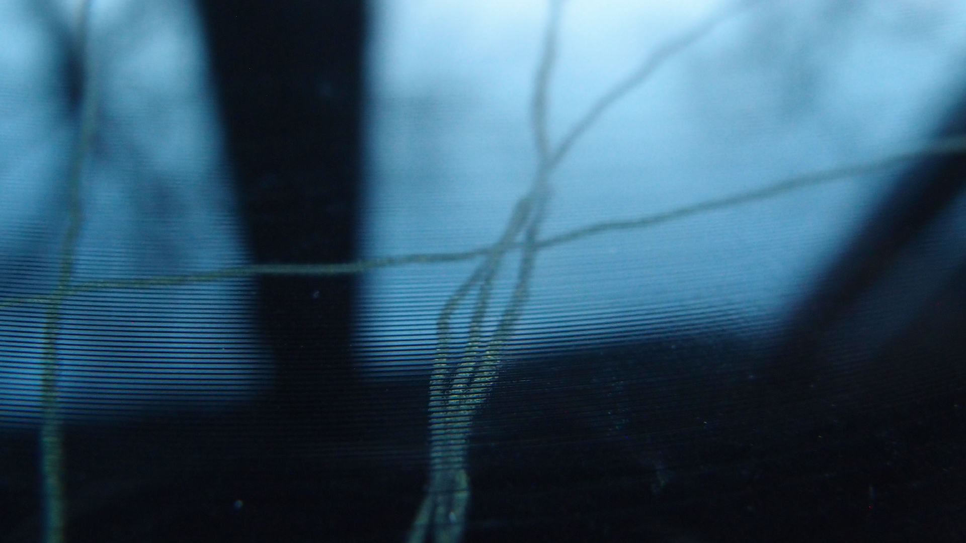 2023-02-05 wendelrekords III Pure Vinyl, geritzt (Audio, Foto, Video)