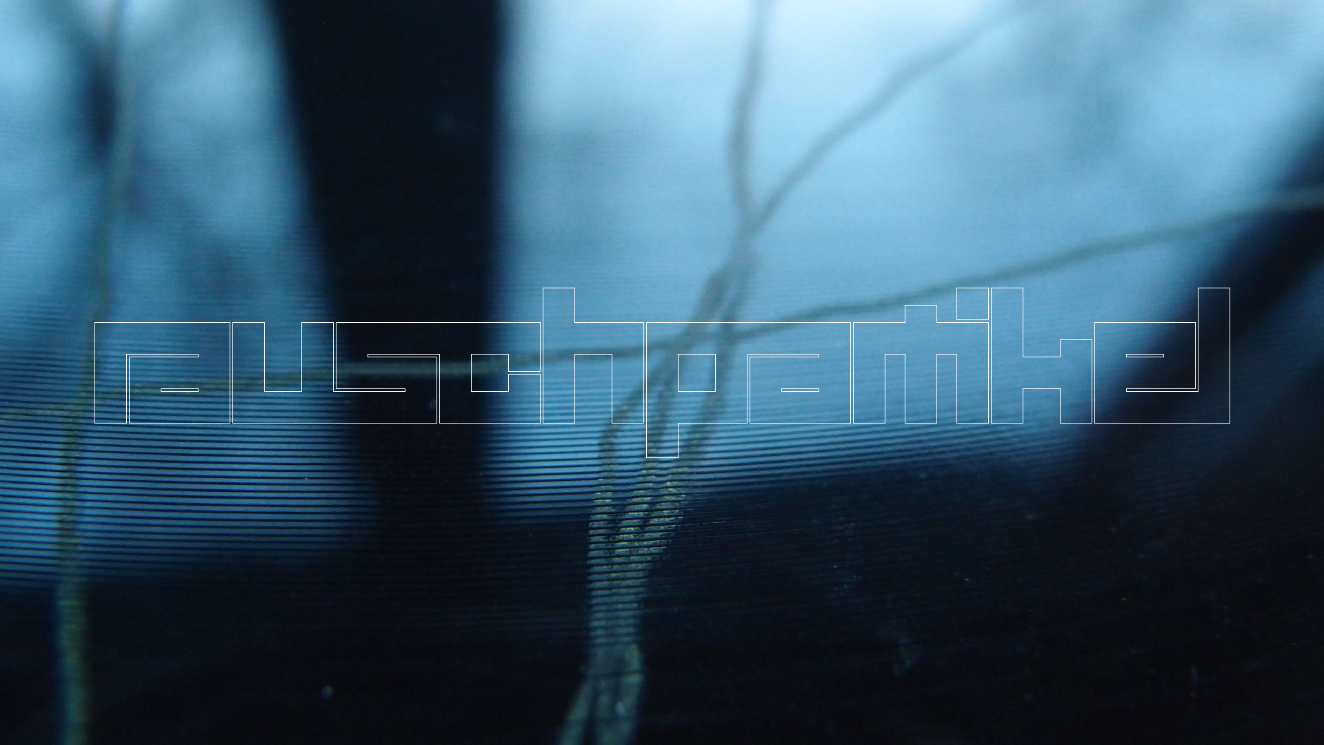 2023-02-05 wendelrekords III Pure Vinyl, geritzt (Audio, Foto, Video)