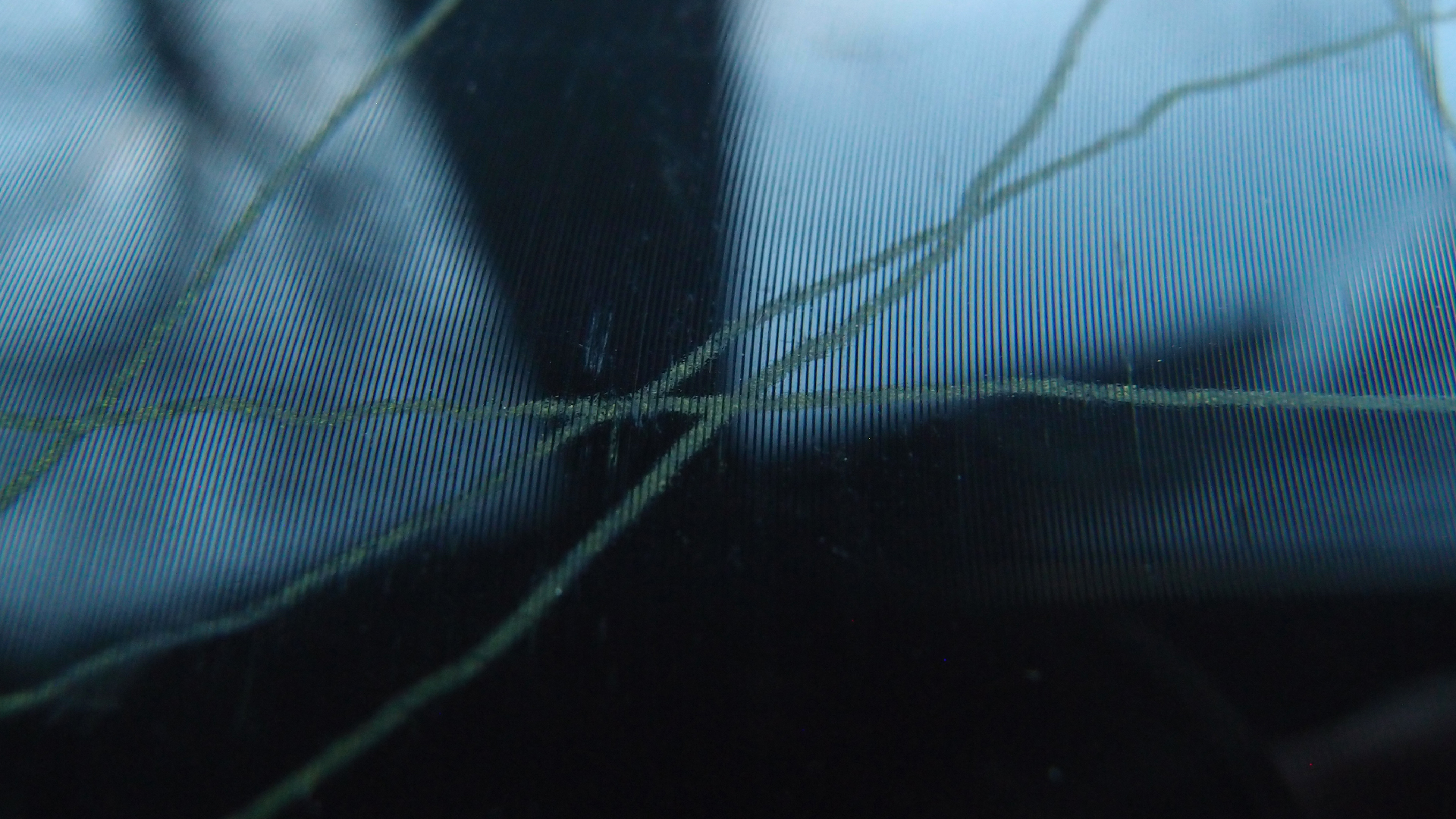 2023-02-05 wendelrekords III Pure Vinyl, geritzt (Audio, Foto, Video)