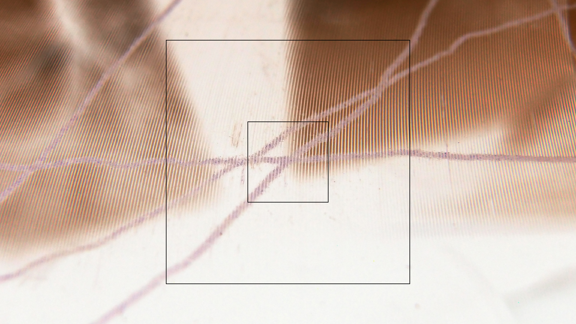 2023-02-05 wendelrekords III Pure Vinyl, geritzt (Audio, Foto, Video)