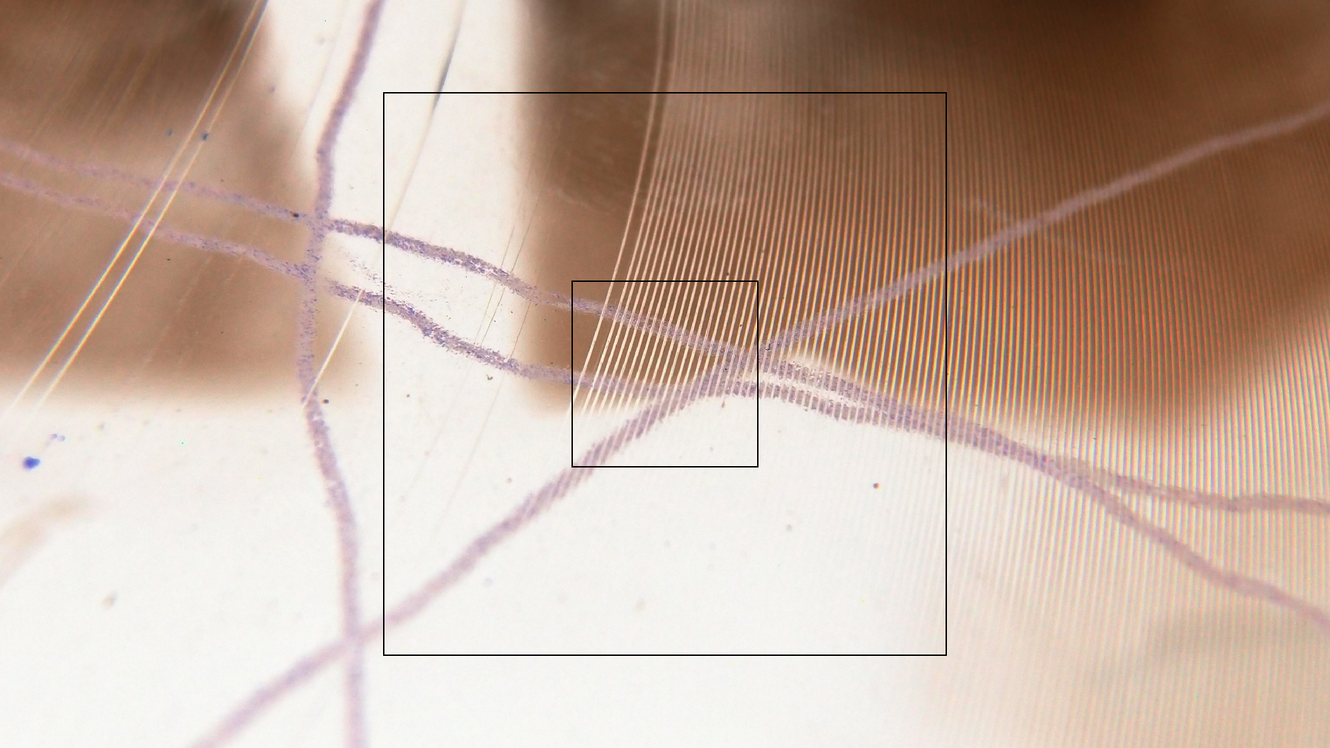 2023-02-05 wendelrekords III Pure Vinyl, geritzt (Audio, Foto, Video)