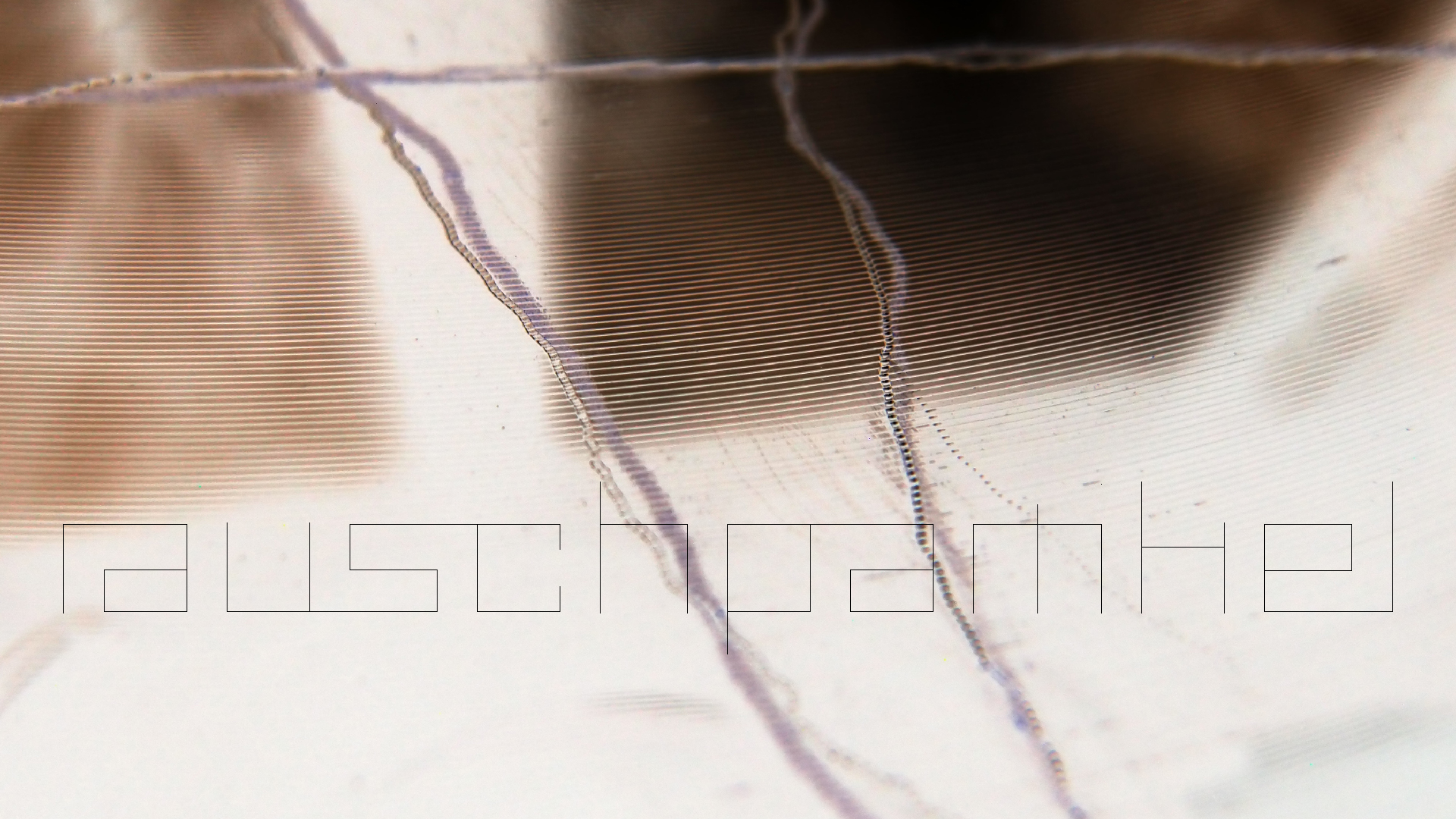 2023-02-05 wendelrekords III Pure Vinyl, geritzt (Audio, Foto, Video)