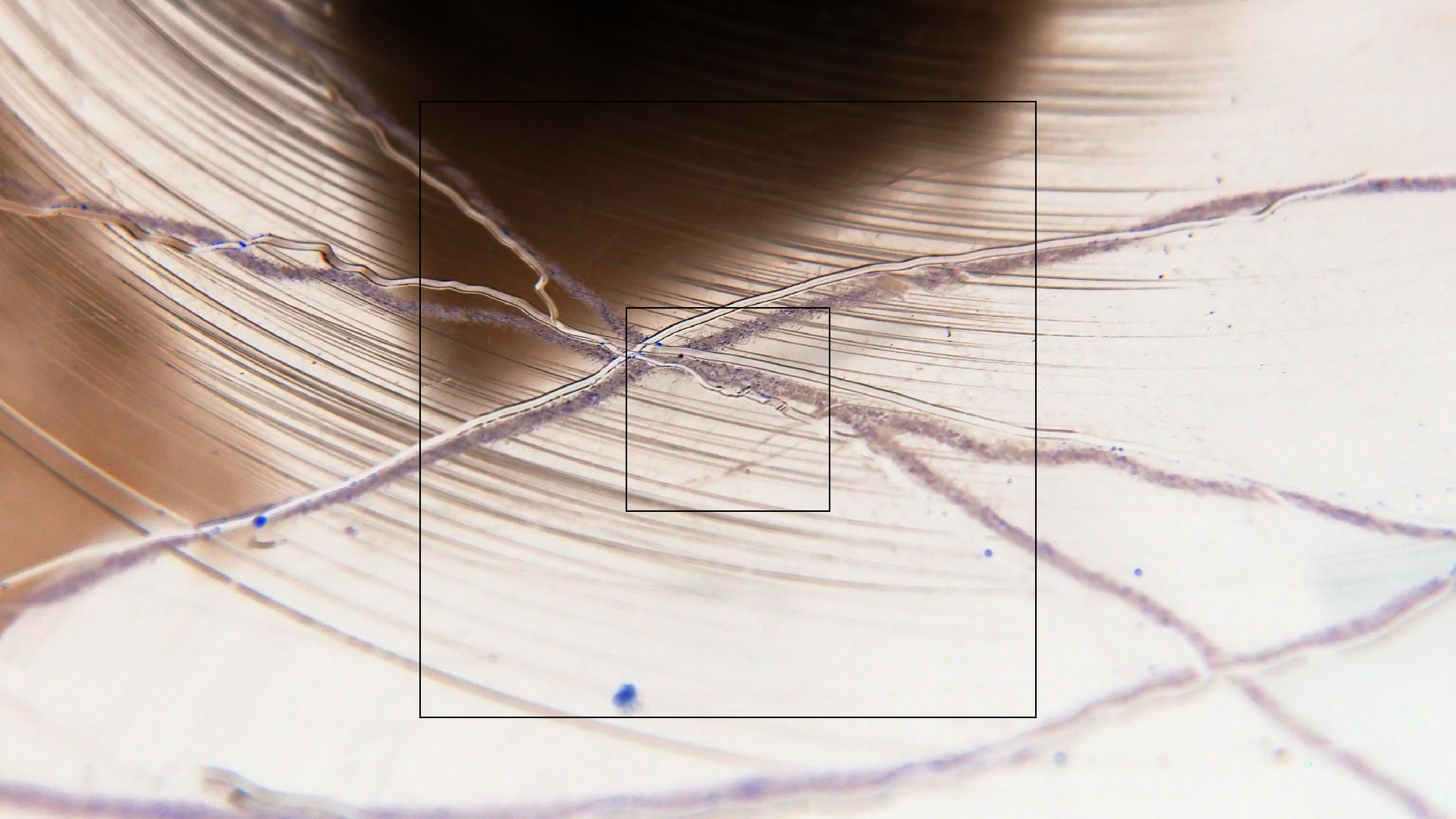 2023-02-05 wendelrekords III Pure Vinyl, geritzt (Audio, Foto, Video)