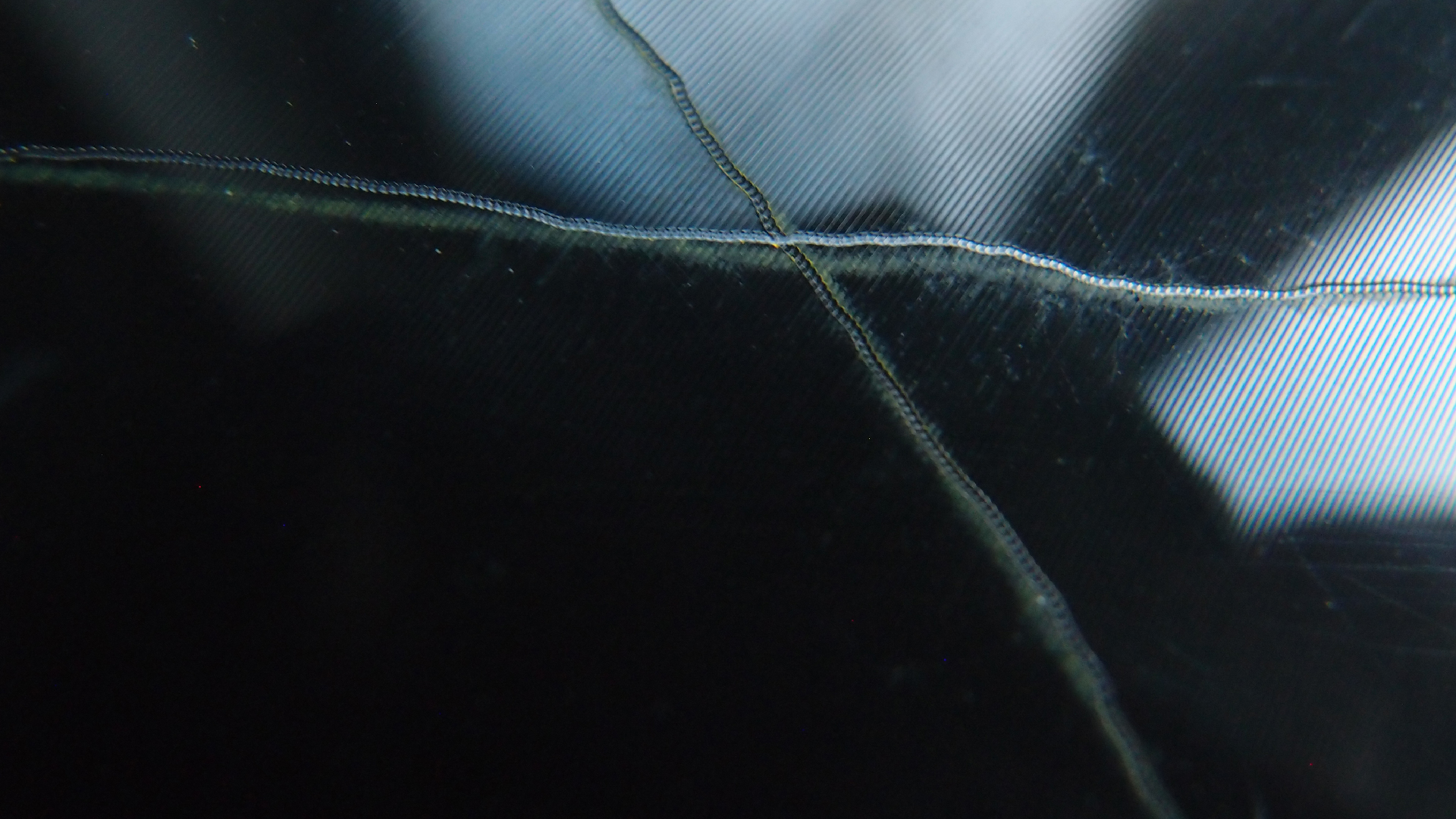 2023-02-05 wendelrekords III Pure Vinyl, geritzt (Audio, Foto, Video)