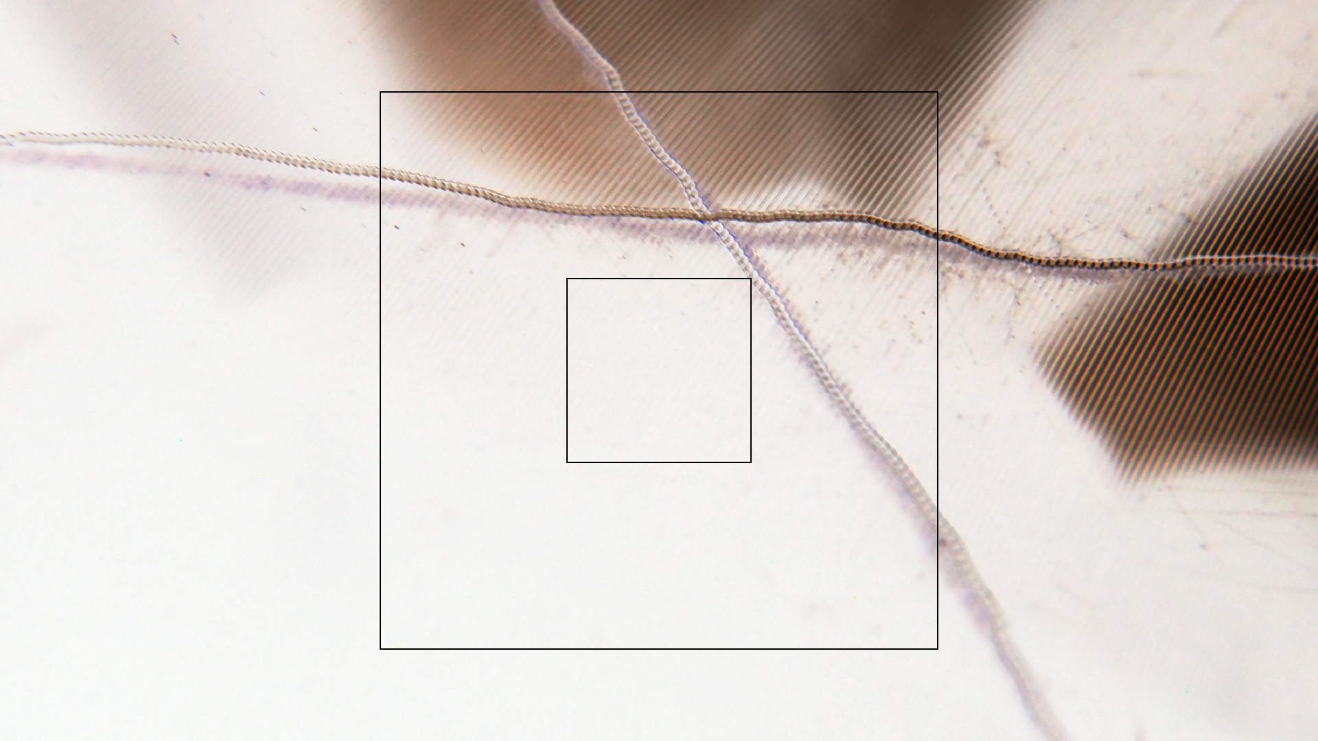 2023-02-05 wendelrekords III Pure Vinyl, geritzt (Audio, Foto, Video)