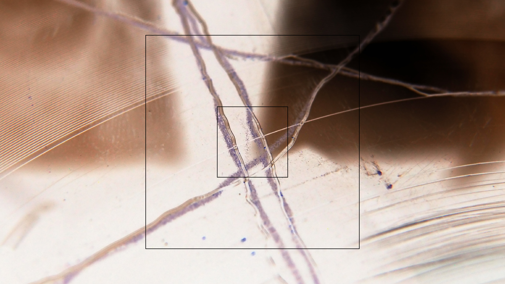 2023-02-05 wendelrekords III Pure Vinyl, geritzt (Audio, Foto, Video)