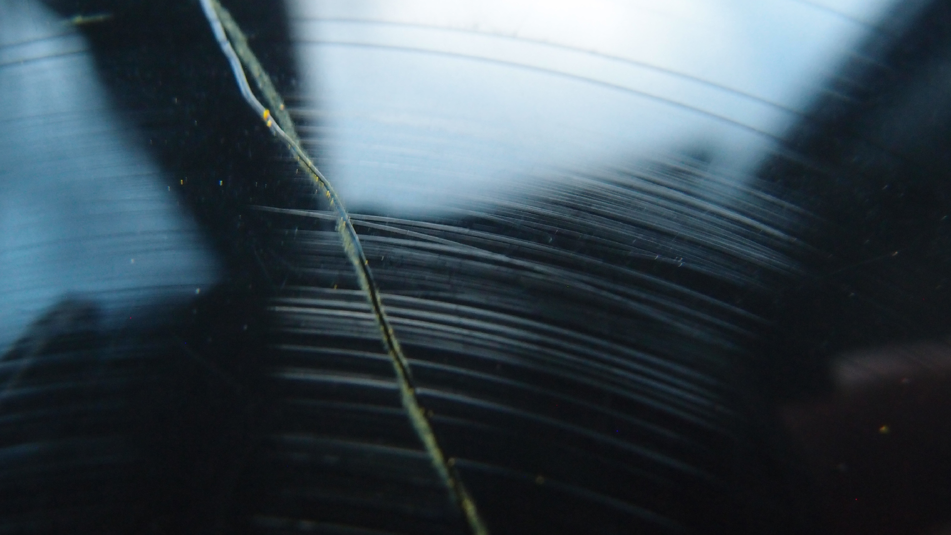 2023-02-05 wendelrekords III Pure Vinyl, geritzt (Audio, Foto, Video)