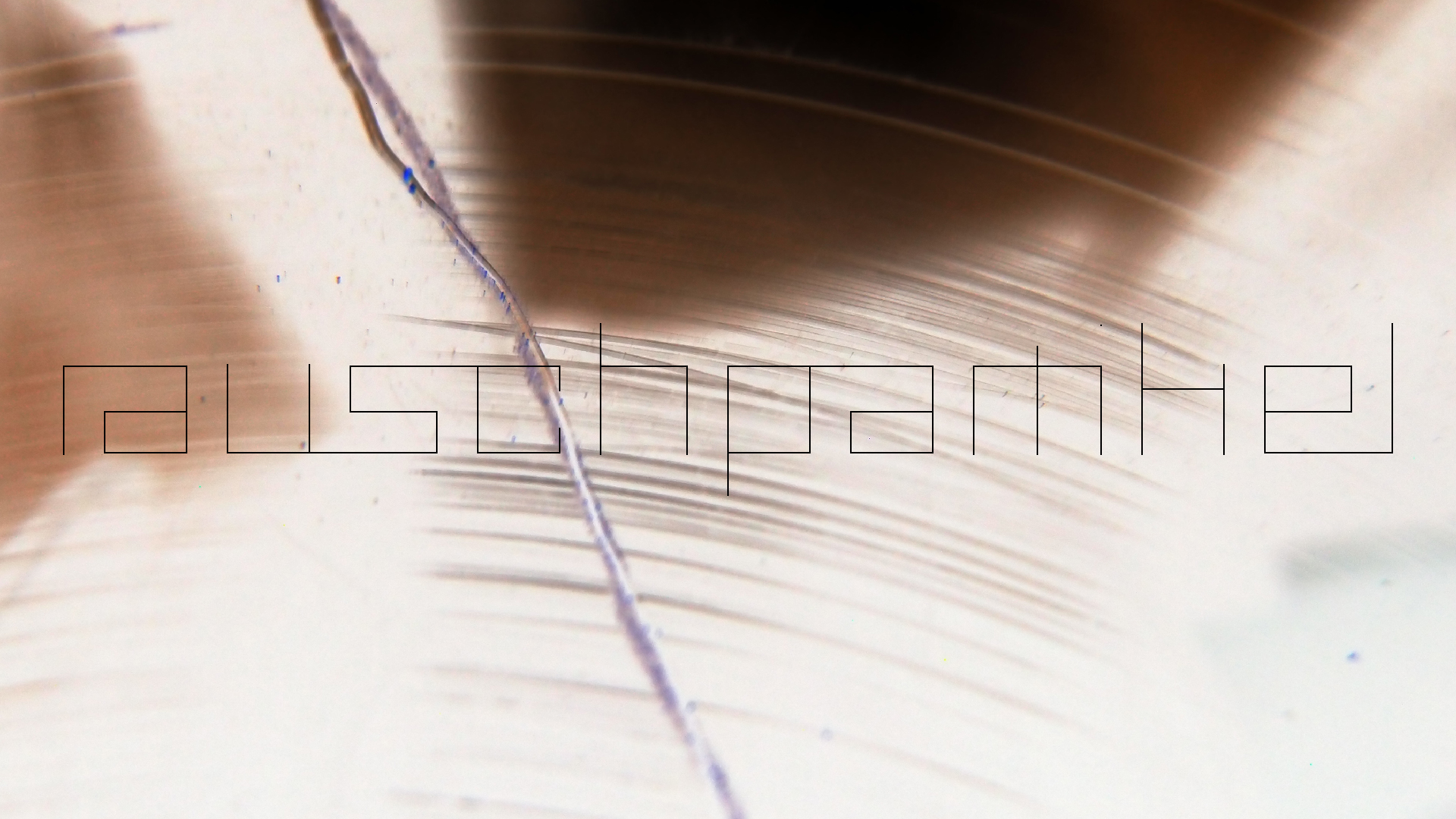 2023-02-05 wendelrekords III Pure Vinyl, geritzt (Audio, Foto, Video)