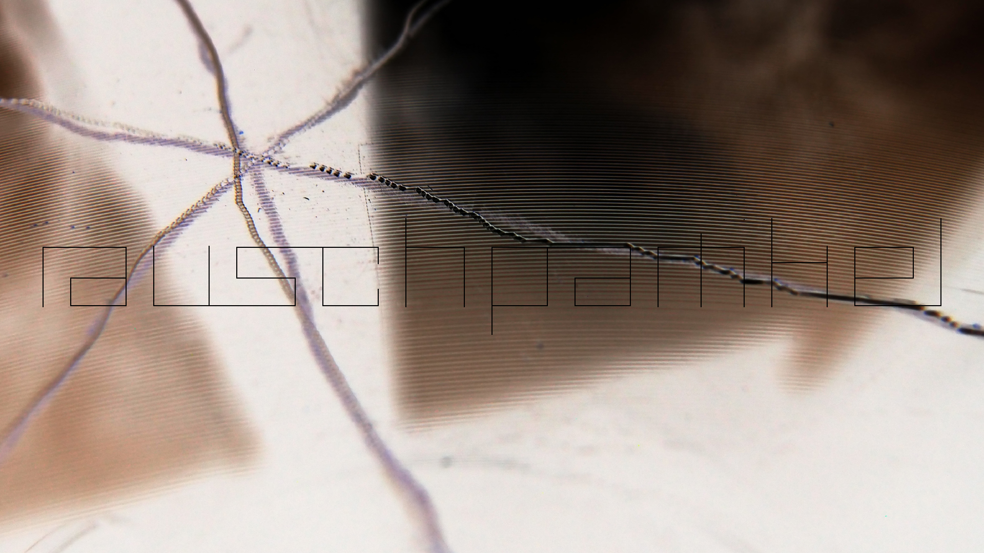 2023-02-05 wendelrekords III Pure Vinyl, geritzt (Audio, Foto, Video)