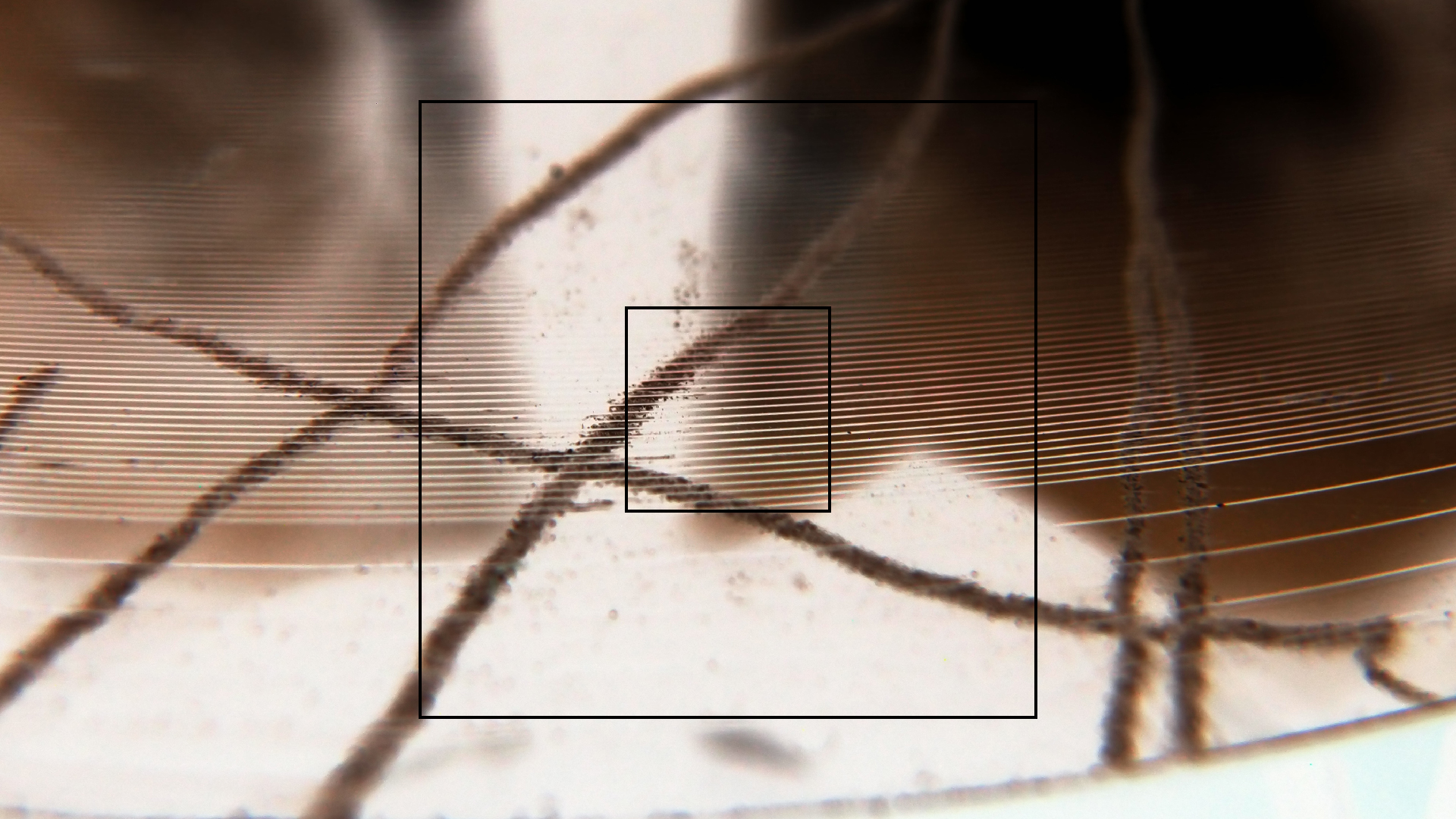 2023-02-05 wendelrekords III Pure Vinyl, geritzt (Audio, Foto, Video)