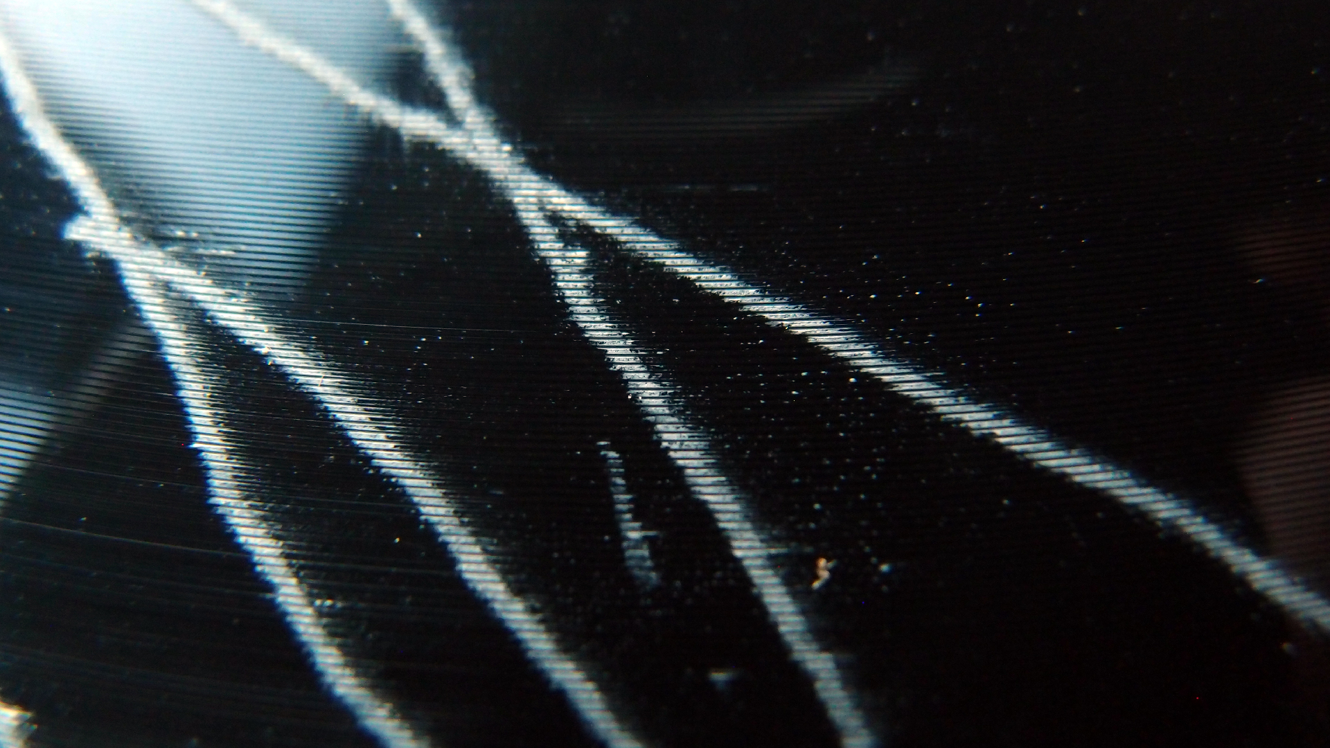 2023-02-05 wendelrekords III Pure Vinyl, geritzt (Audio, Foto, Video)