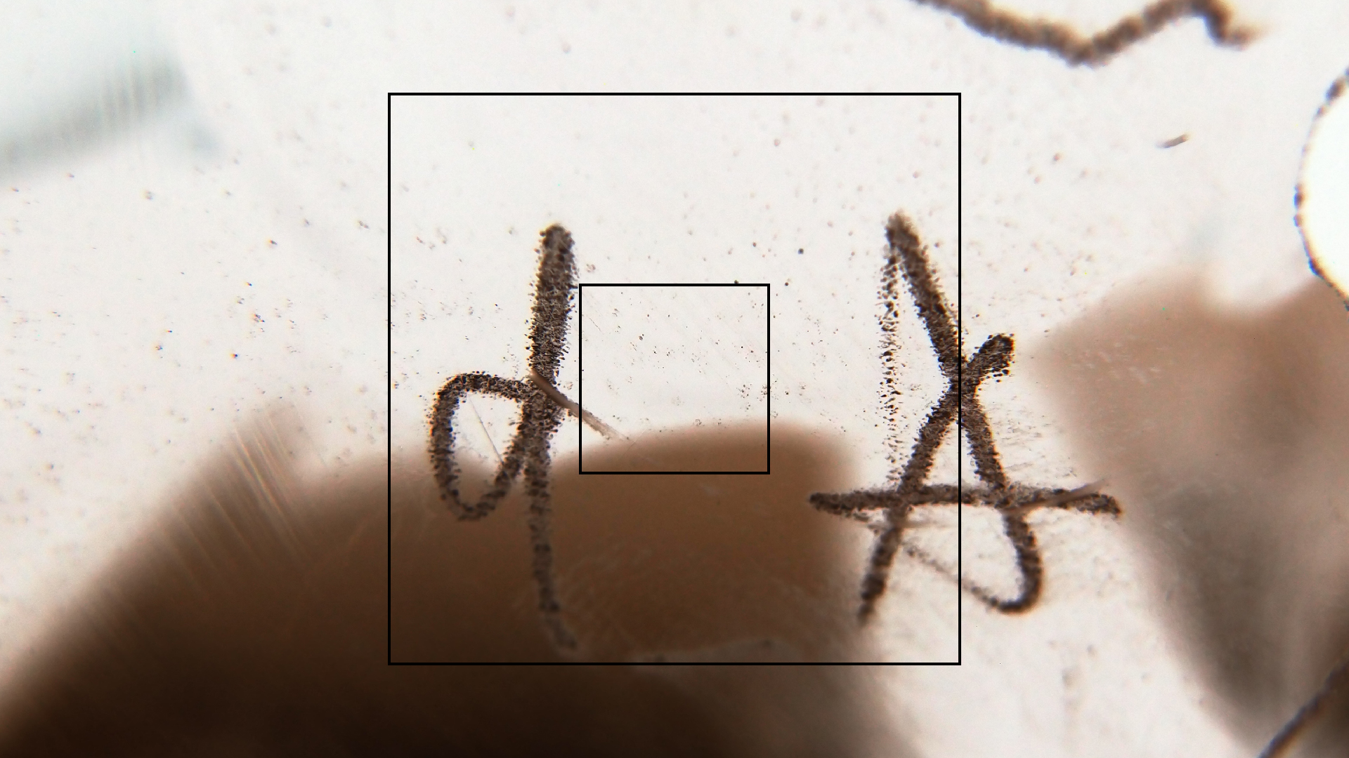 2023-02-05 wendelrekords III Pure Vinyl, geritzt (Audio, Foto, Video)