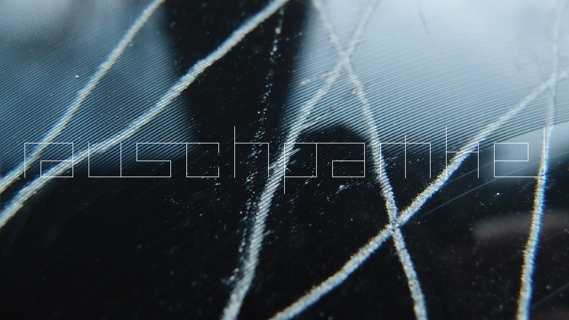 2023-02-05 wendelrekords III Pure Vinyl, geritzt (Audio, Foto, Video)