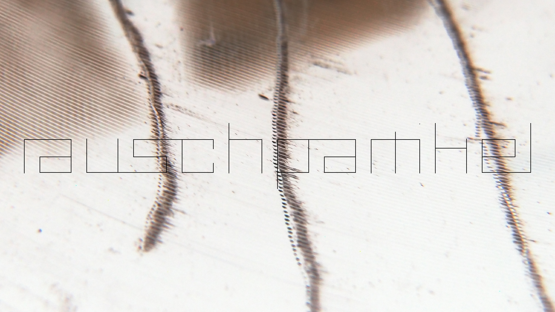 2023-02-05 wendelrekords III Pure Vinyl, geritzt (Audio, Foto, Video)