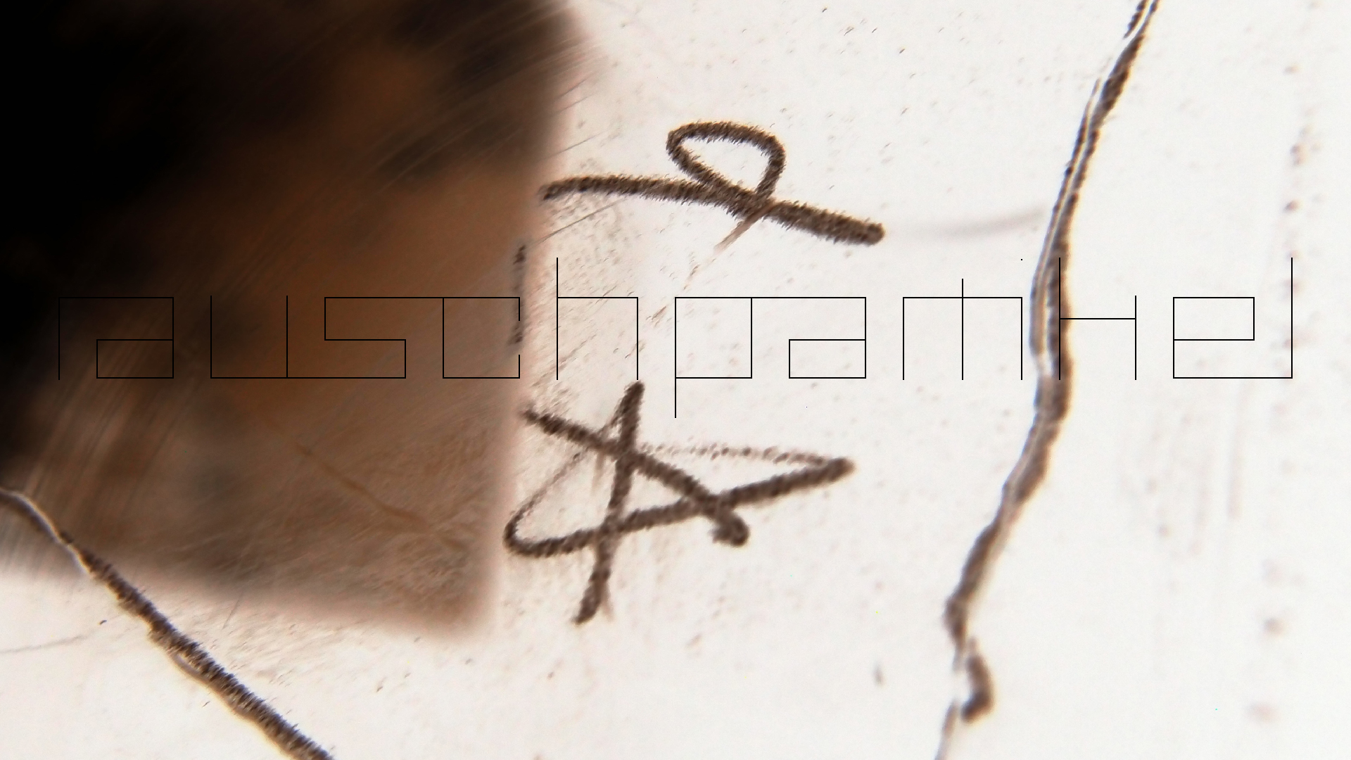 2023-02-05 wendelrekords III Pure Vinyl, geritzt (Audio, Foto, Video)