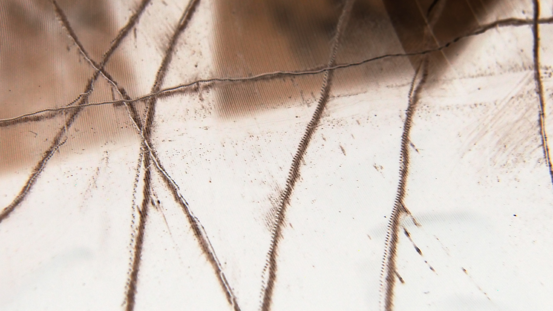 2023-02-05 wendelrekords III Pure Vinyl, geritzt (Audio, Foto, Video)