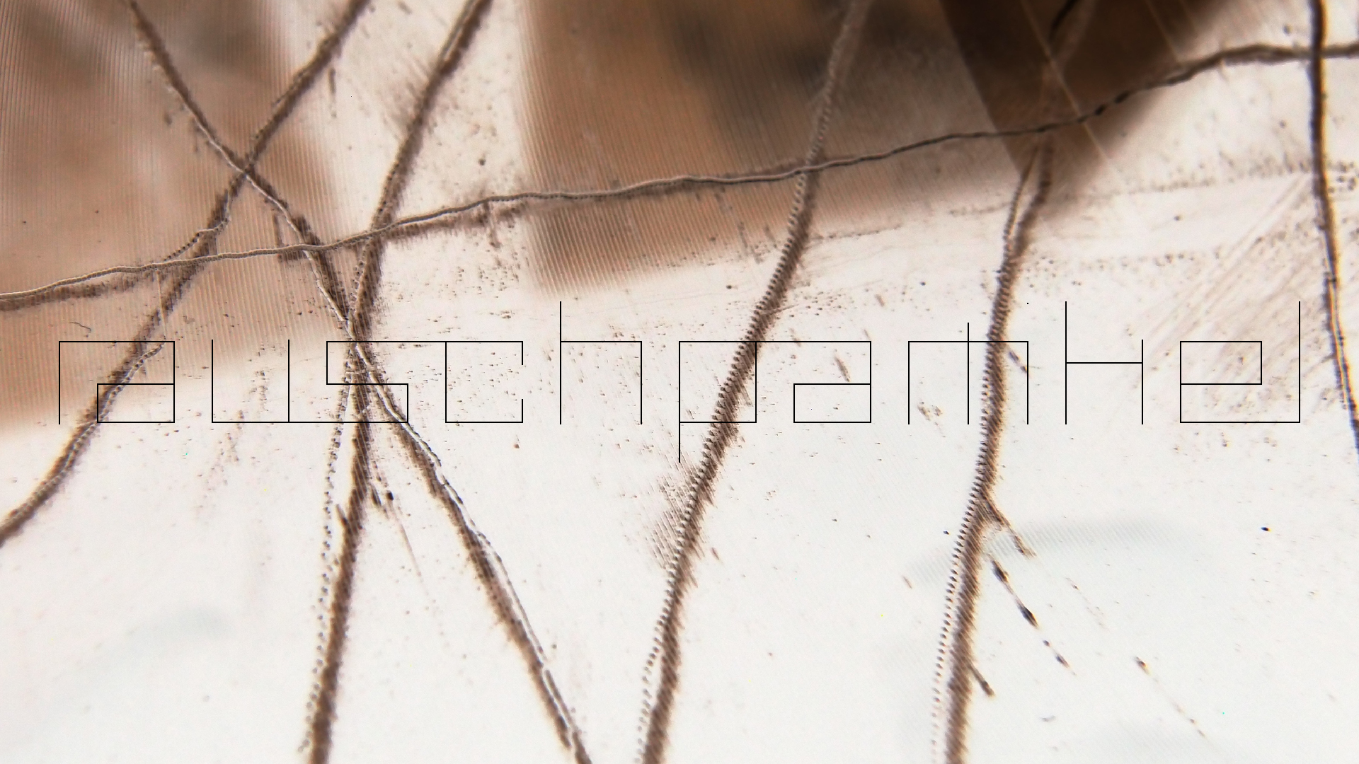 2023-02-05 wendelrekords III Pure Vinyl, geritzt (Audio, Foto, Video)