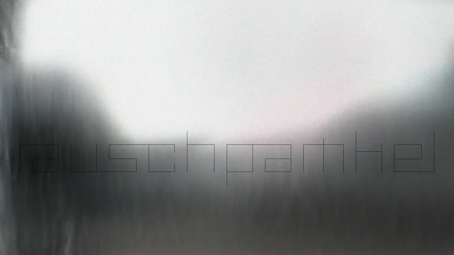 005 Lenco L930 mit Shure N95-3 Nadel