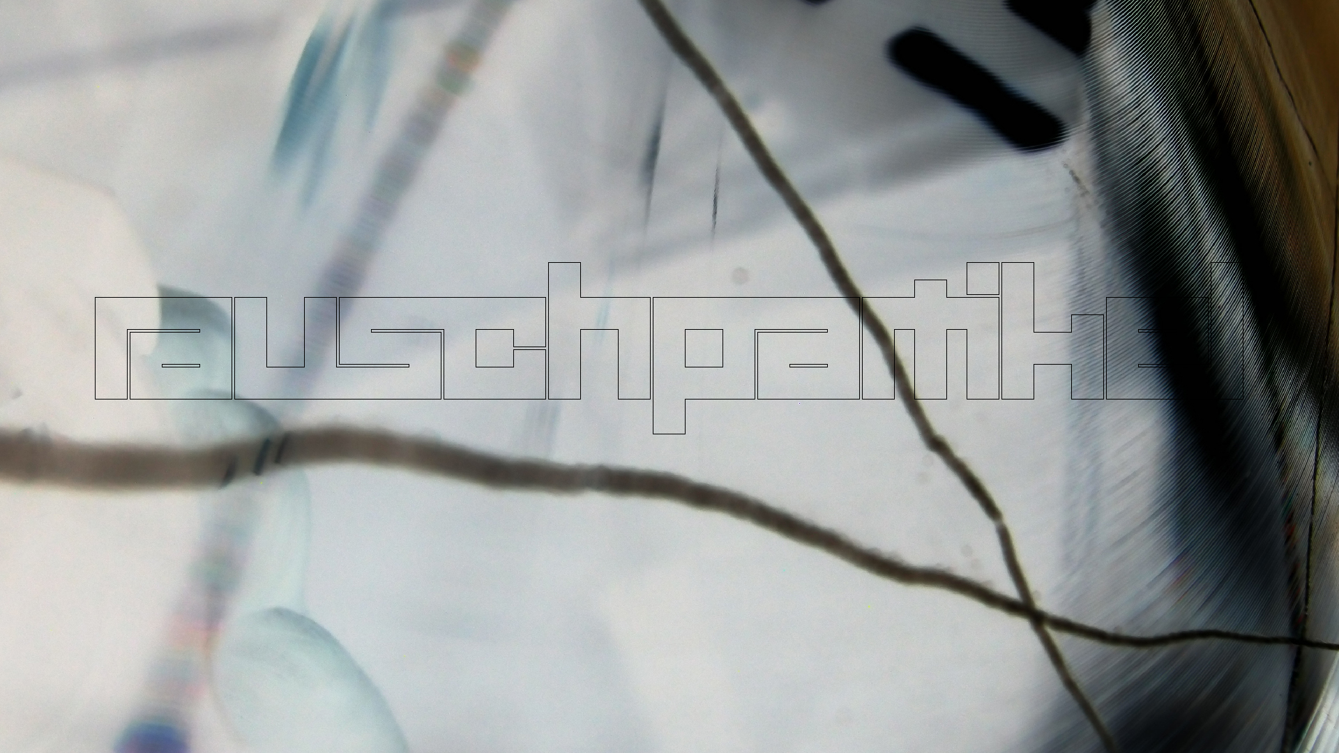 006 Lenco L930 mit Shure N95-3 Nadel