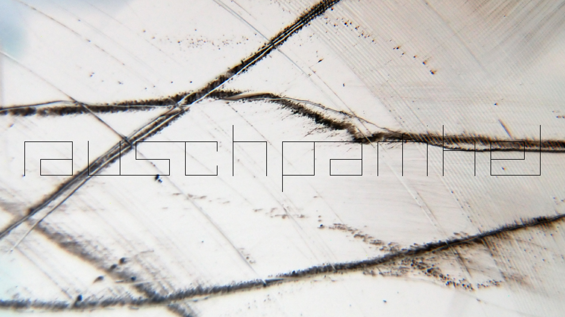 006 Lenco L930 mit Shure N95-3 Nadel