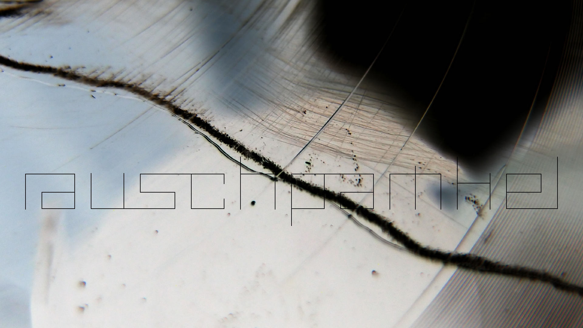 006 Lenco L930 mit Shure N95-3 Nadel