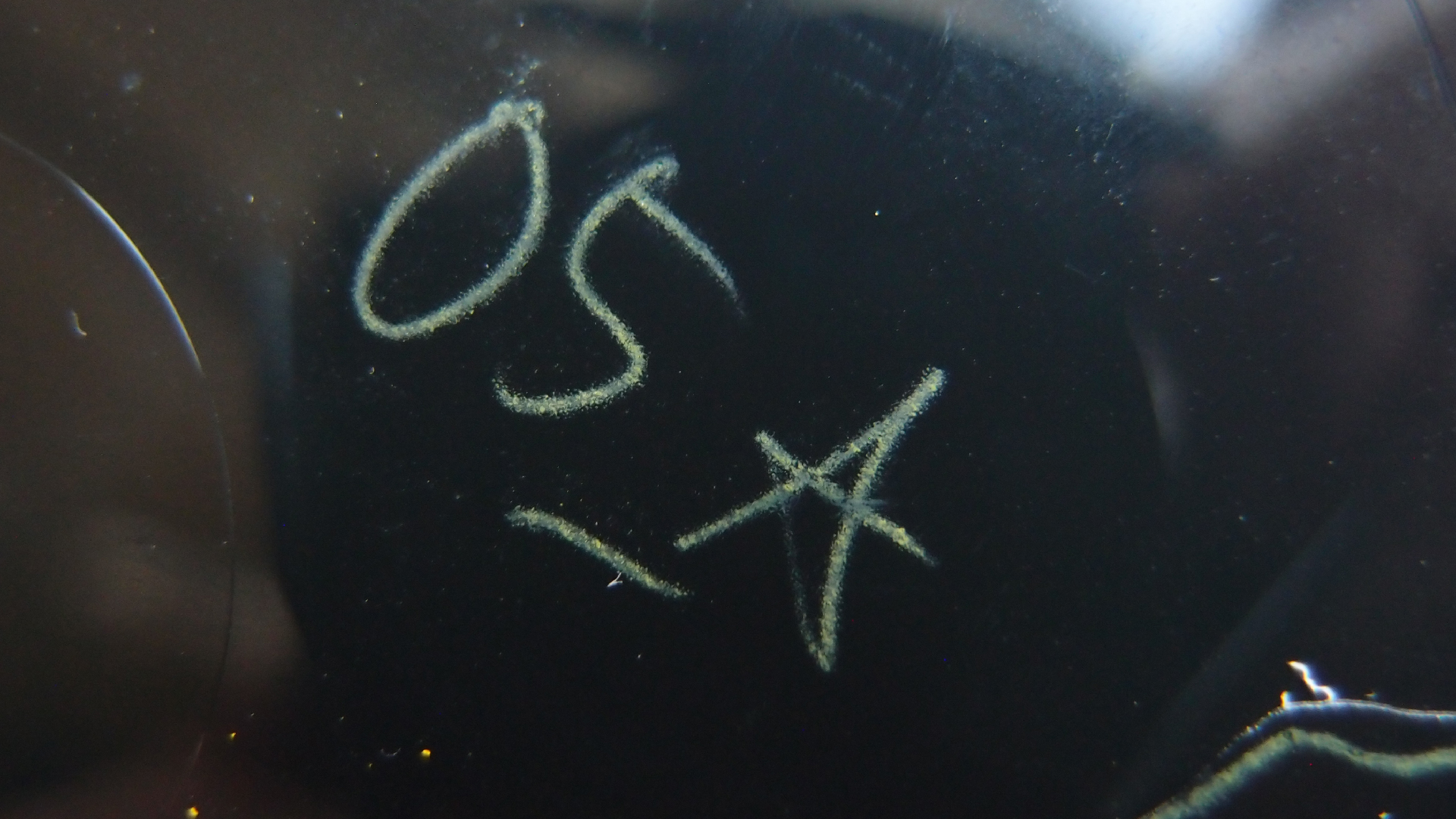 006 Lenco L930 mit Shure N95-3 Nadel