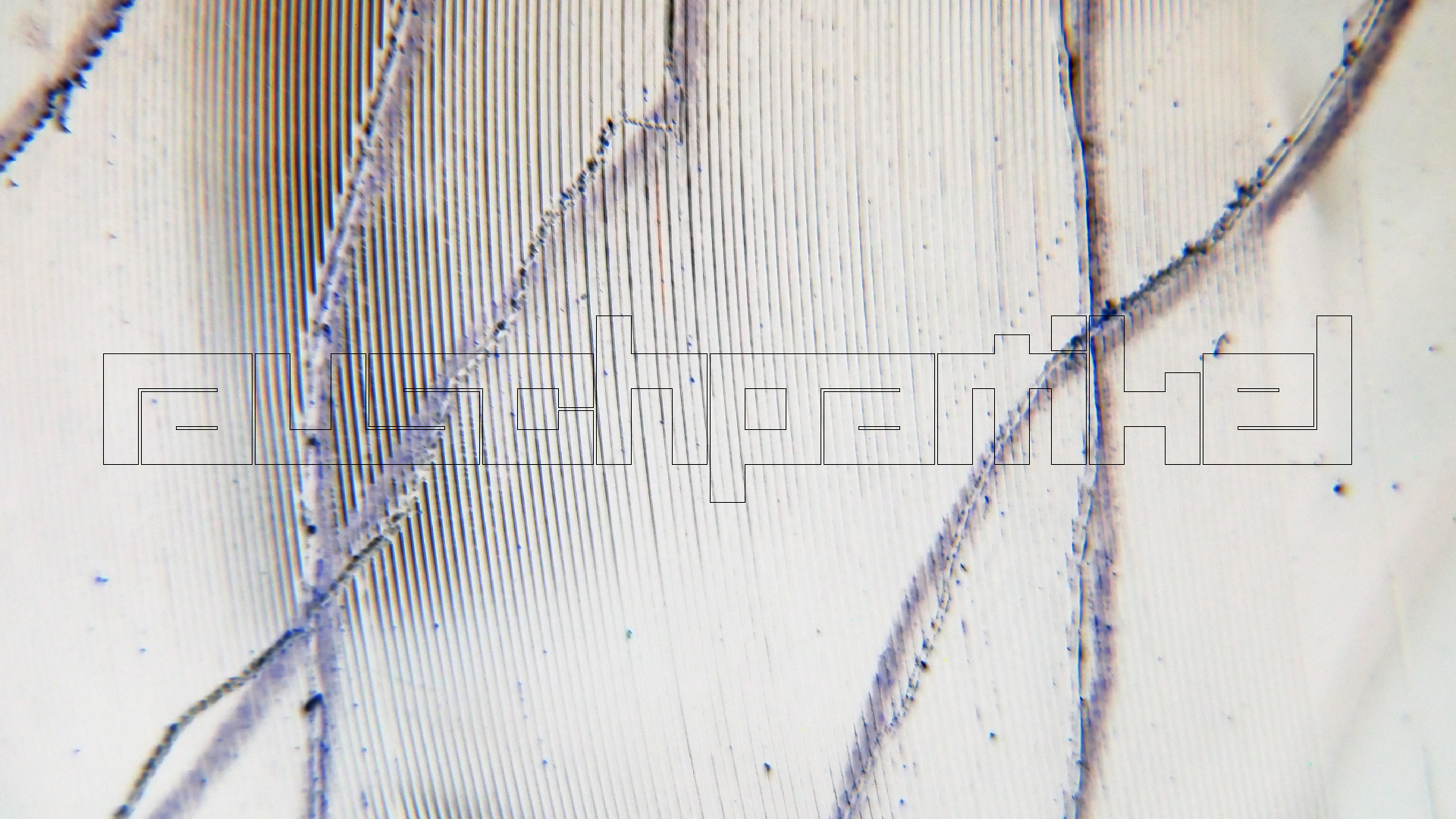 006 Lenco L930 mit Shure N95-3 Nadel