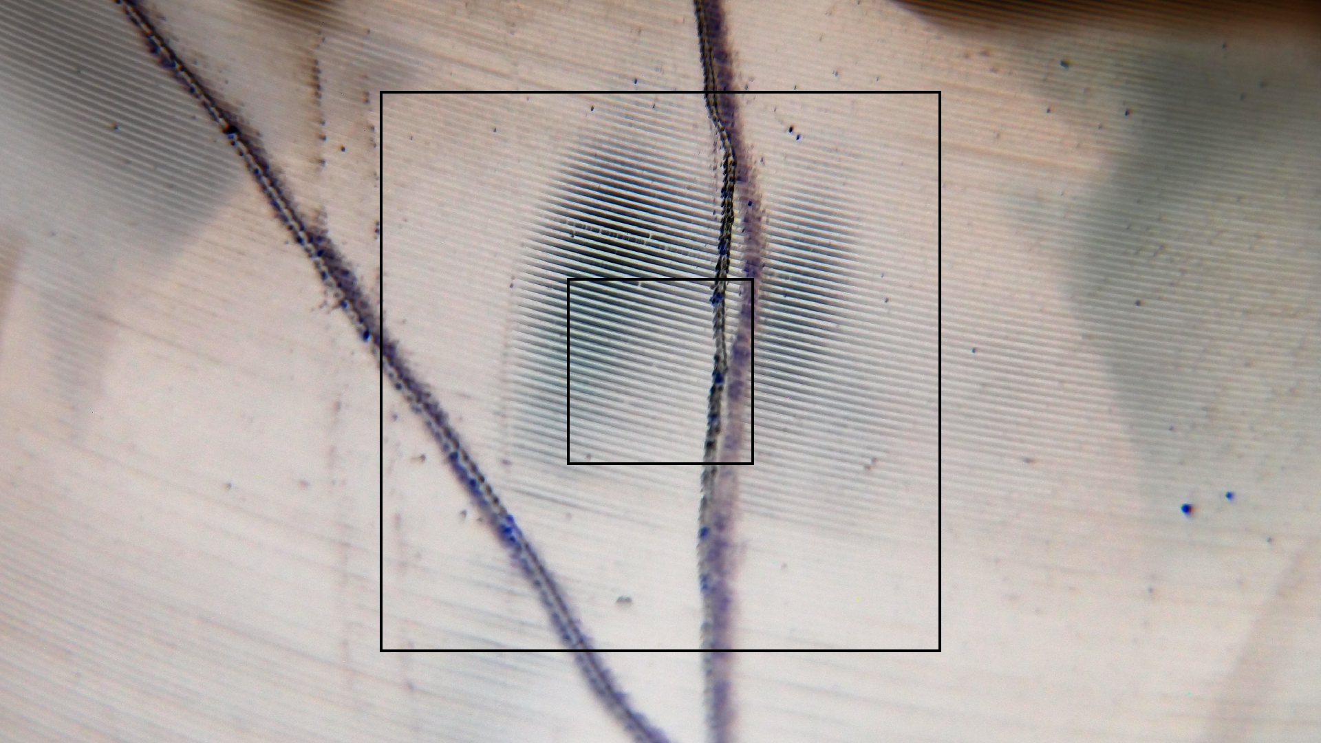 006 Lenco L930 mit Shure N95-3 Nadel