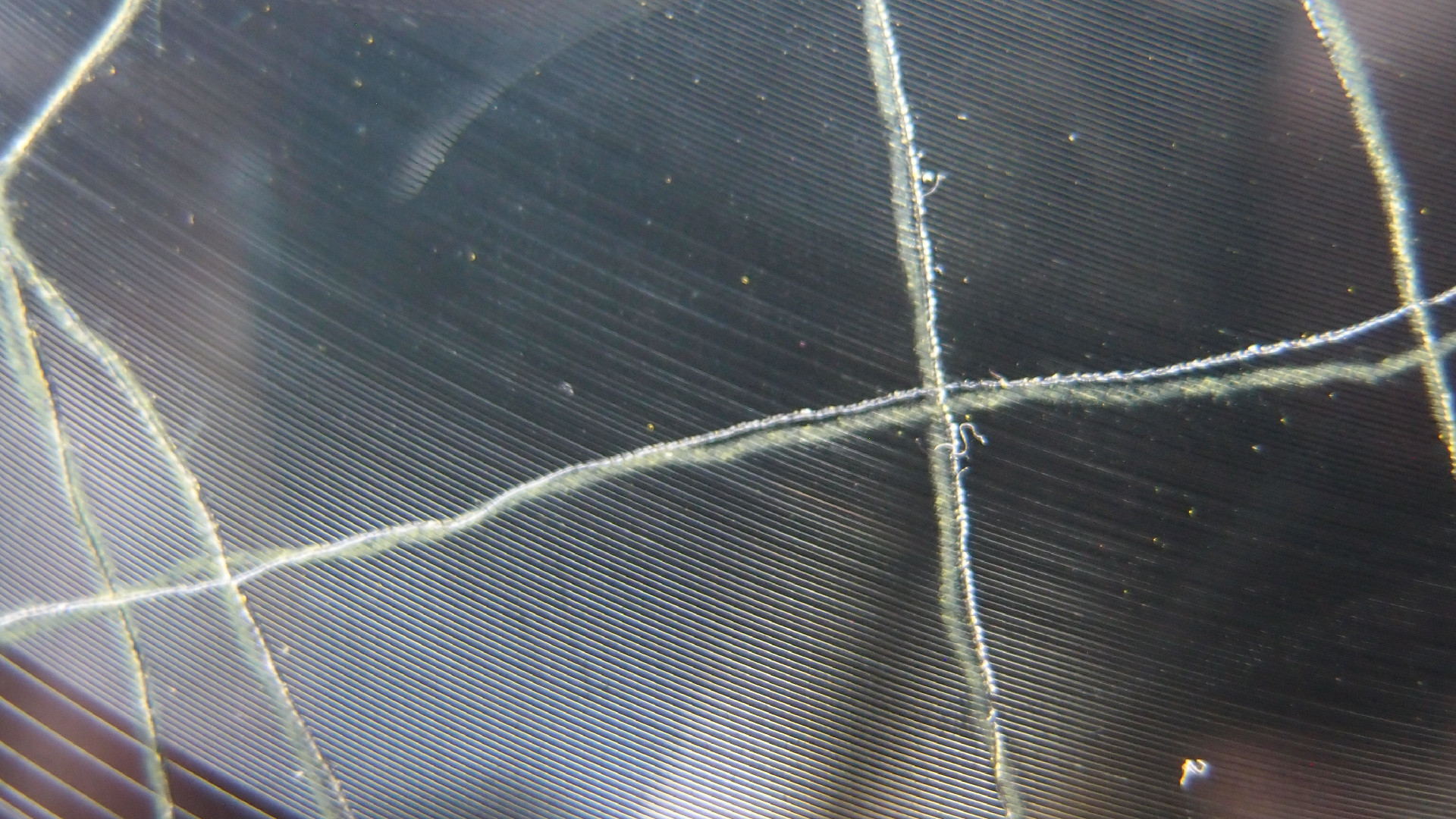 006 Lenco L930 mit Shure N95-3 Nadel