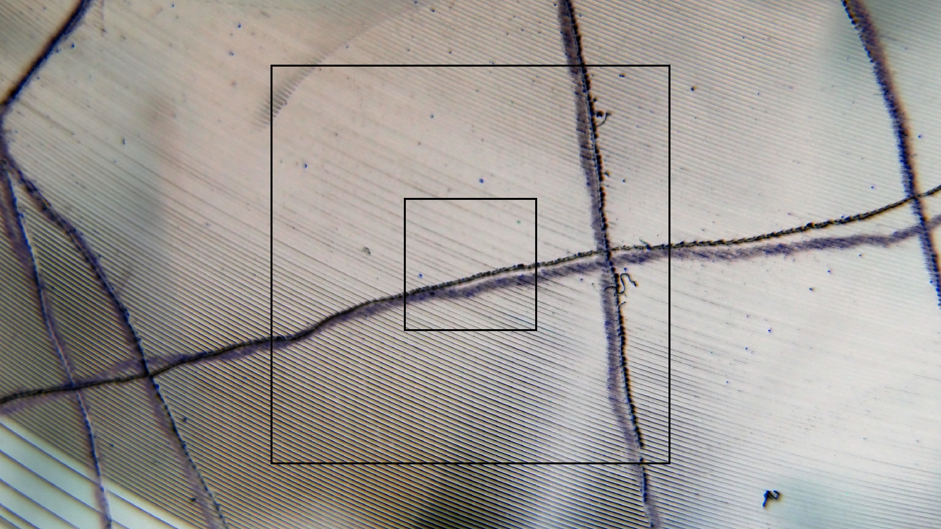 006 Lenco L930 mit Shure N95-3 Nadel