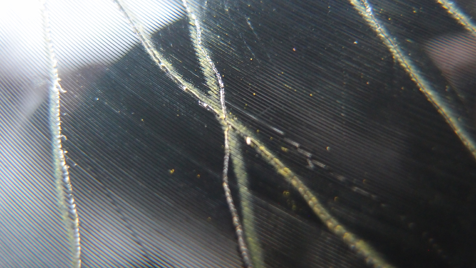 006 Lenco L930 mit Shure N95-3 Nadel