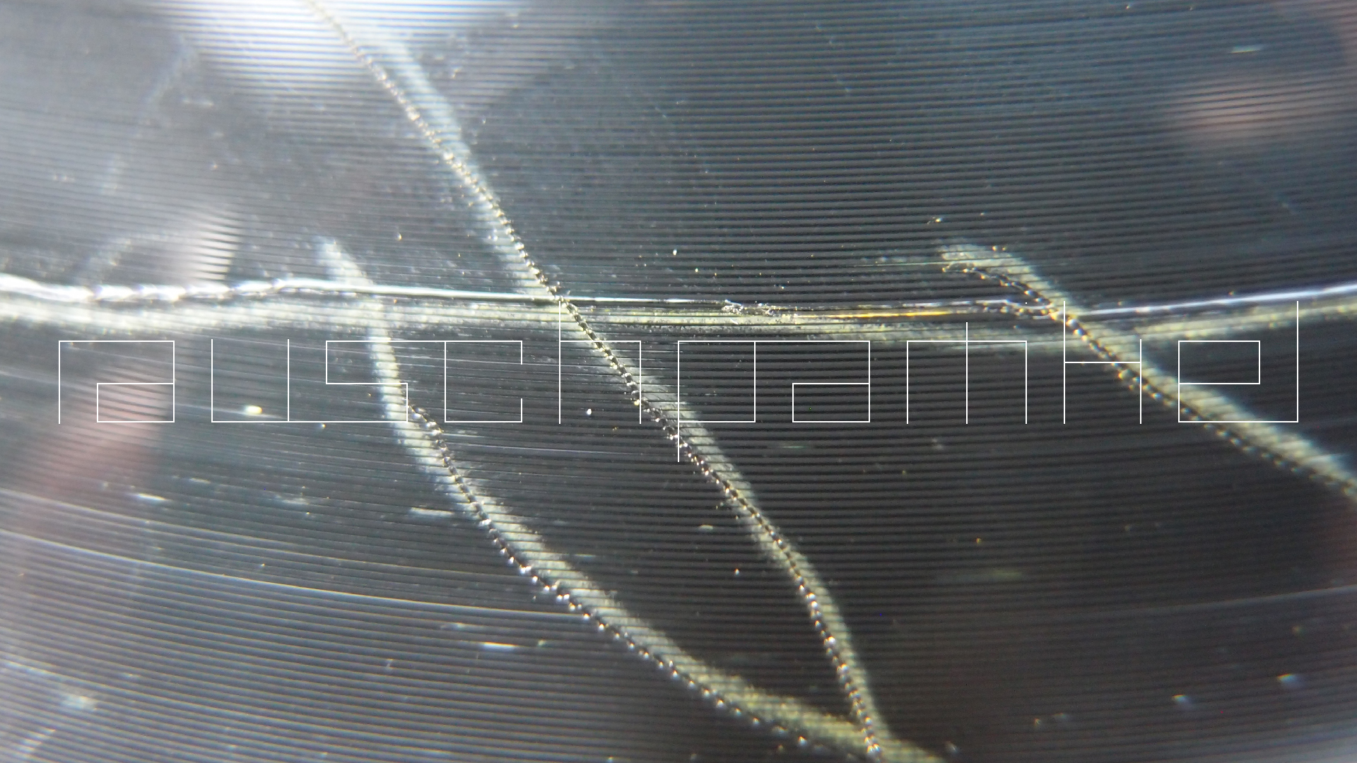 006 Lenco L930 mit Shure N95-3 Nadel