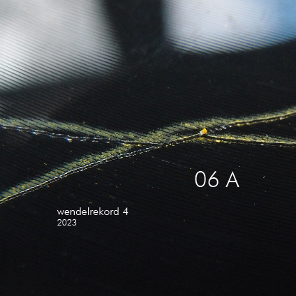 2023-03 wendelrekords IV (Sand für Wolferl 2015) (10 Vinyl)